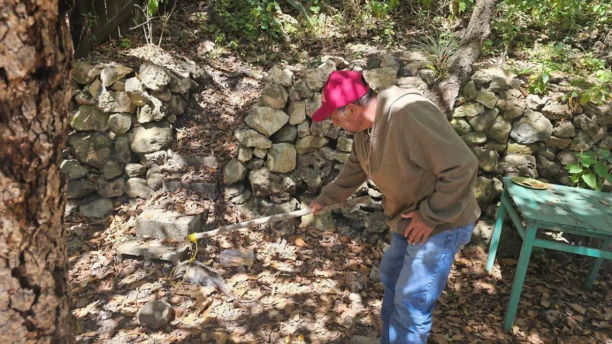 WhatsApp Image 2026-01-30 at 5.38.01 PM (1)