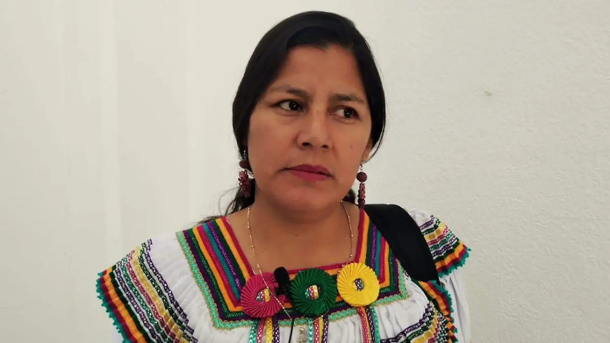 maestra tojolabal María de la Flor Gómez Cruz