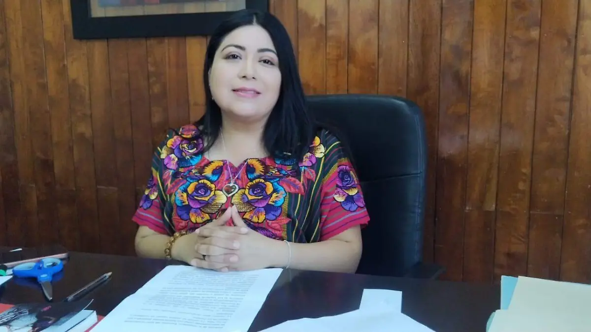 diputada Selene Josefina Sánchez 