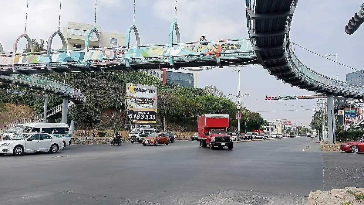 WhatsApp Image 2026-01-31 at 11.50.15 AM