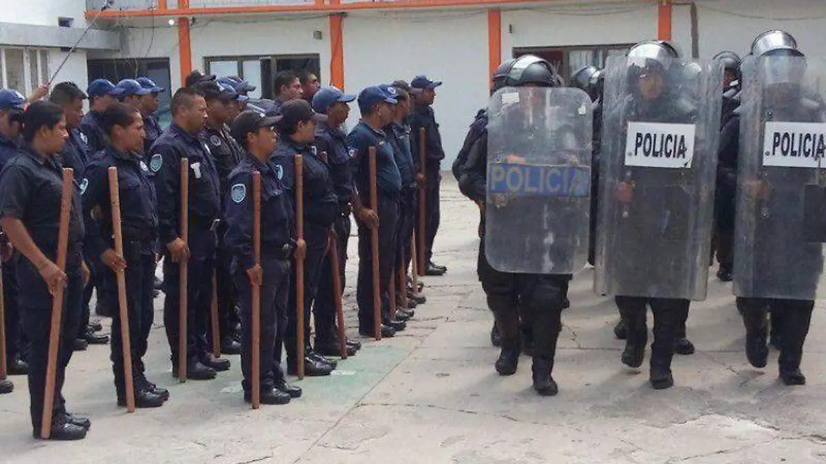 WhatsApp Image 2026-01-31 at 12.50.48 PM