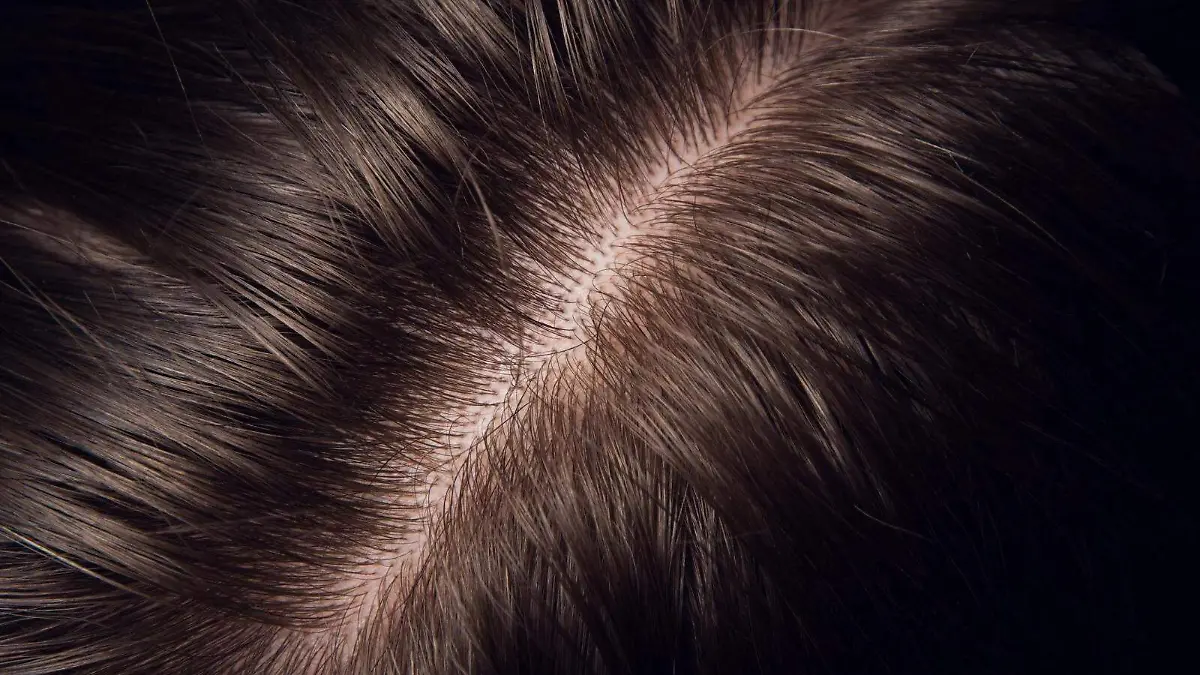 WhatsApp Image 2026-01-31 at 2.21.46 PM (1)