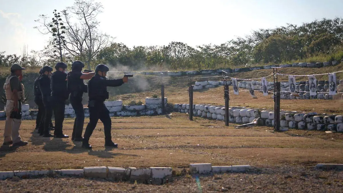 WhatsApp Image 2026-01-31 at 20.55.21