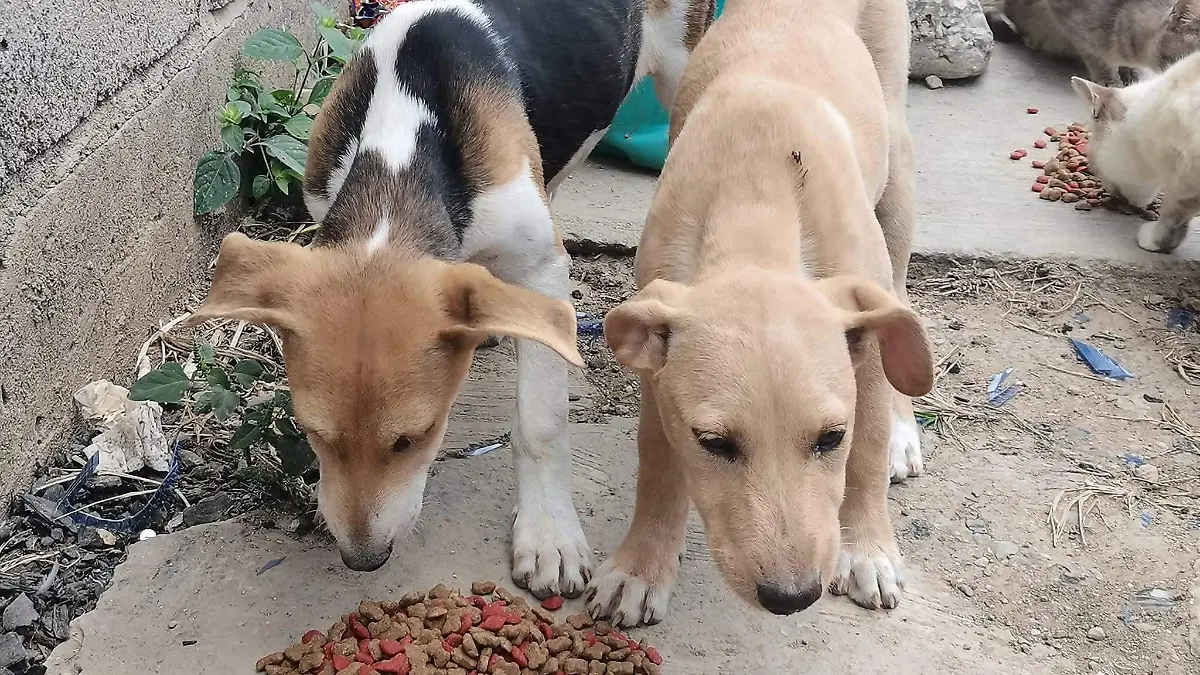 FB_IMG_1769973178587