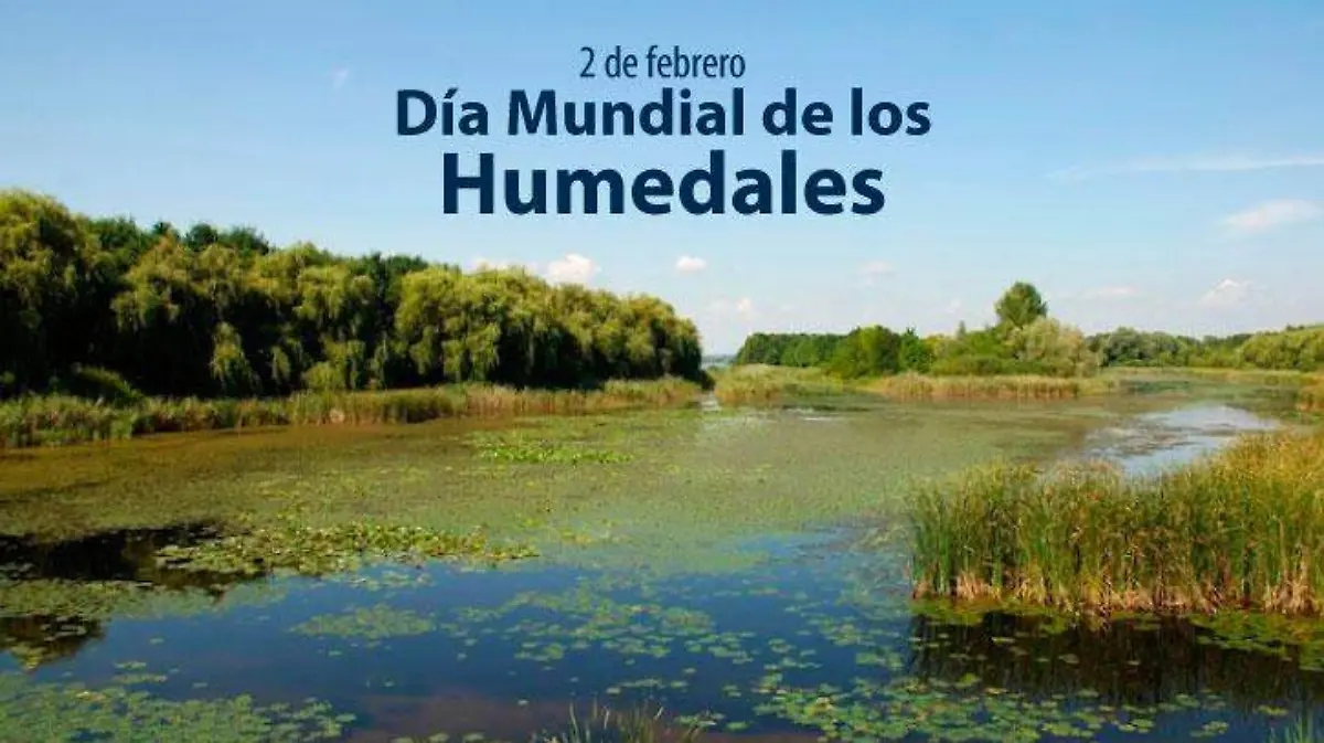Día_Mundial_de_los_Humedales