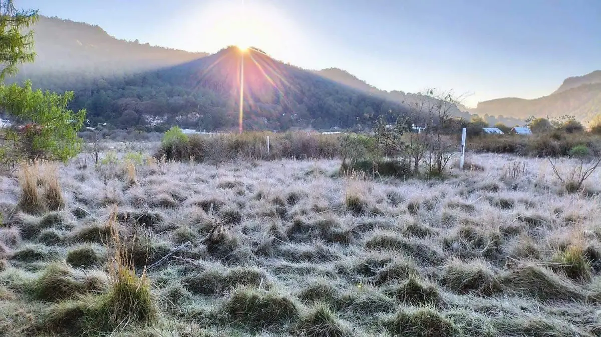 FB_IMG_1770219896231