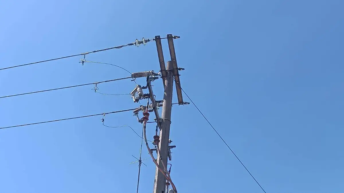 WhatsApp Image 2026-02-04 at 12.31.14