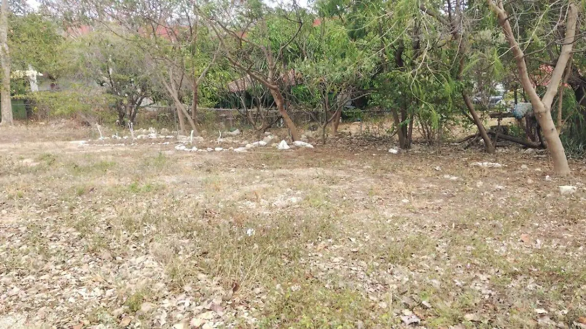 WhatsApp Image 2026-02-04 at 09.08.53