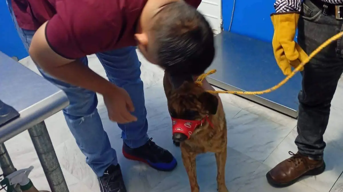 WhatsApp Image 2026-02-06 at 3.31.09 PM (1)