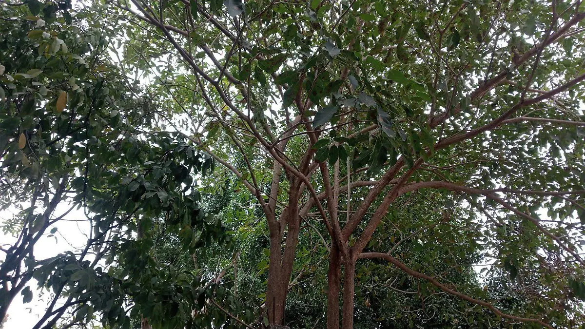 WhatsApp Image 2026-02-07 at 8.42.07 AM