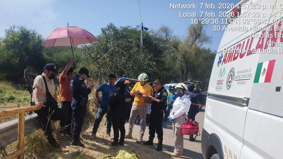 WhatsApp Image 2026-02-07 at 18.26.12