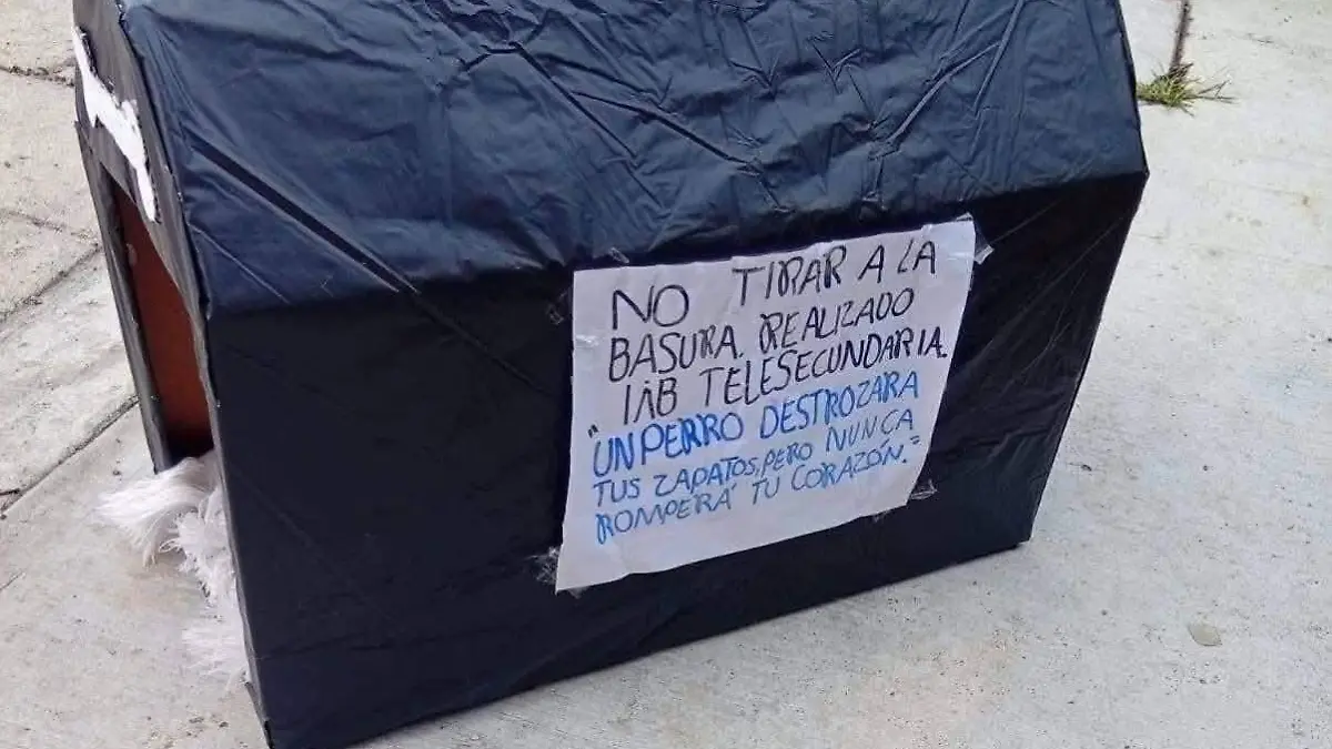 WhatsApp Image 2026-02-08 at 1.07.56 PM