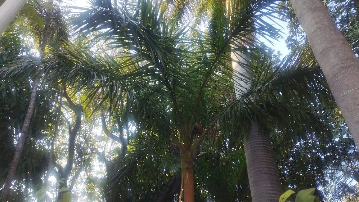 WhatsApp Image 2026-02-09 at 07.57.11 (1)