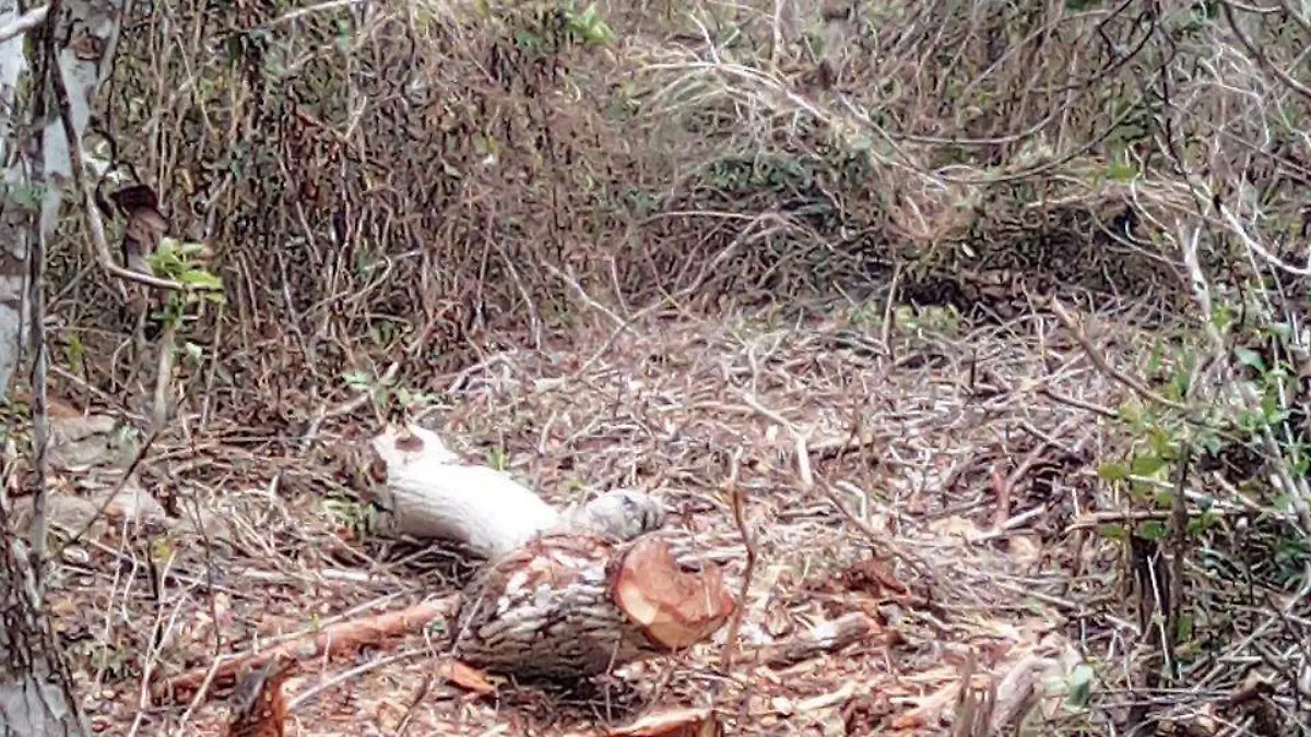 WhatsApp Image 2026-02-09 at 5.53.47 PM