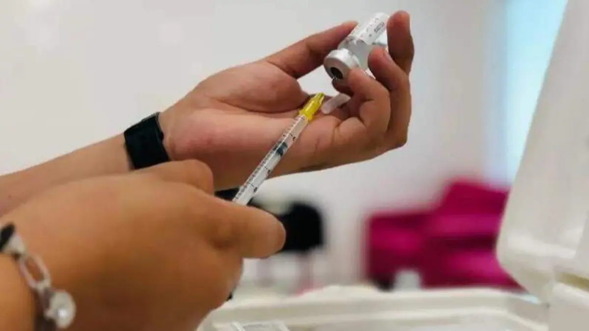 WhatsApp Image 2026-02-10 at 12.42.20