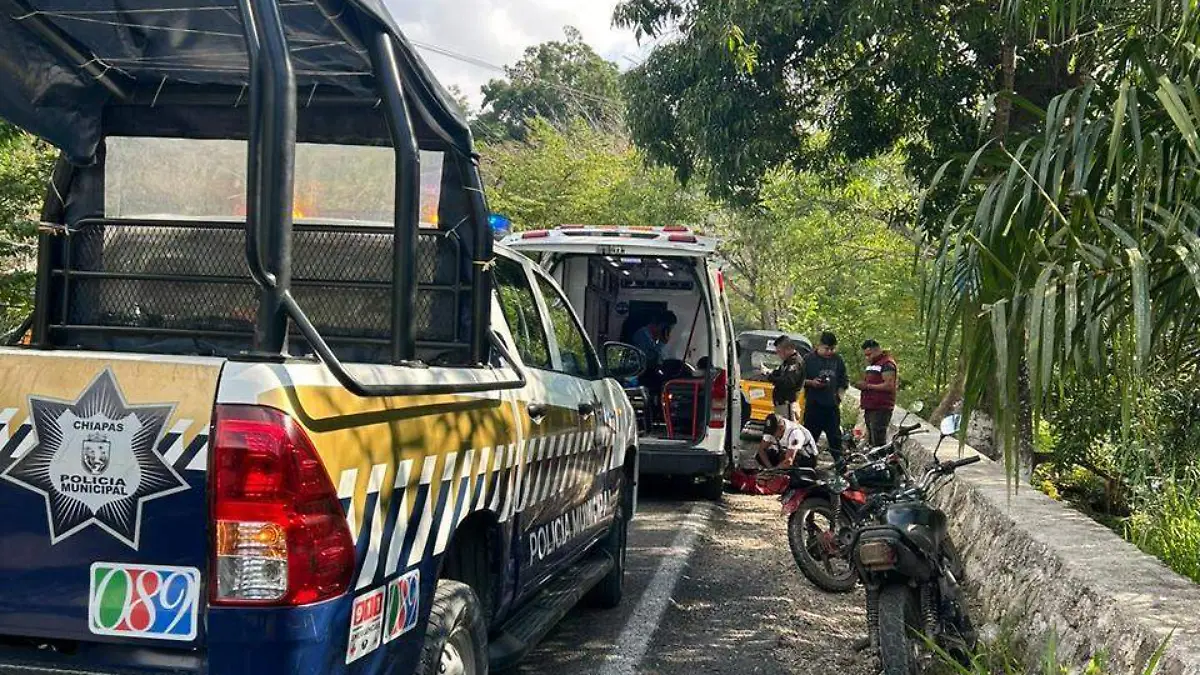 WhatsApp Image 2026-02-10 at 6.44.14 PM