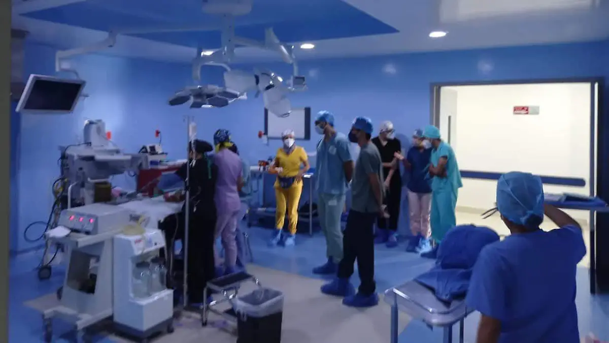 WhatsApp Image 2026-02-11 at 2.59.05 PM