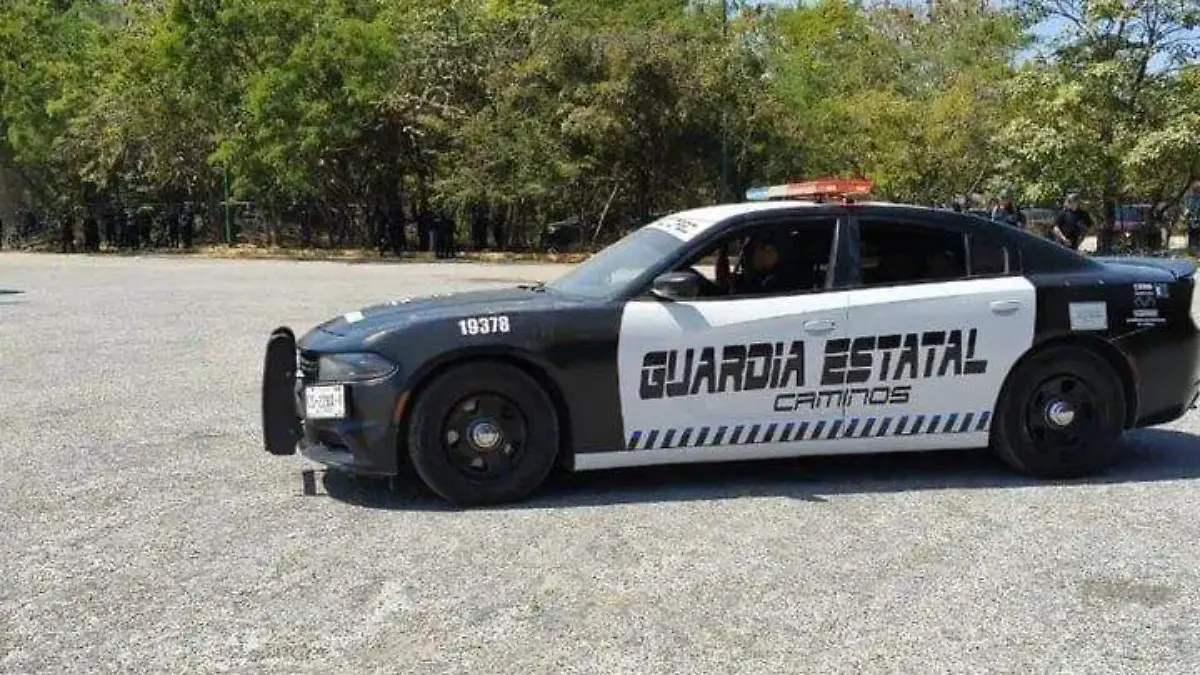 WhatsApp Image 2026-02-11 at 11.22.19 AM