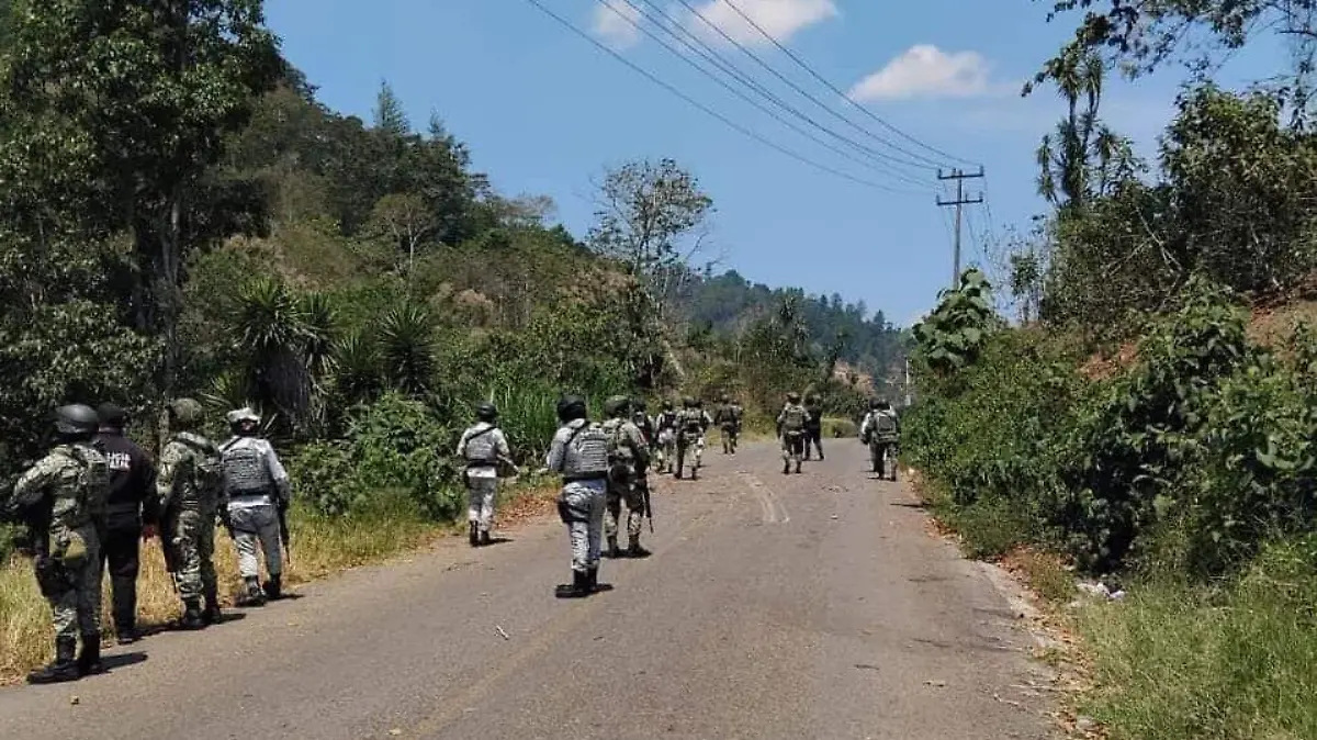 WhatsApp Image 2026-02-11 at 8.46.59 PM