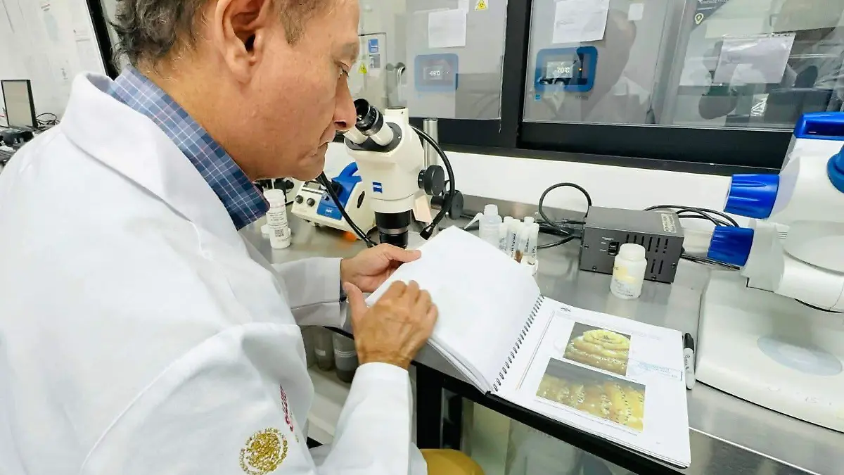 Estudios confirman que Chiapas es el estado número uno en casos notificados 