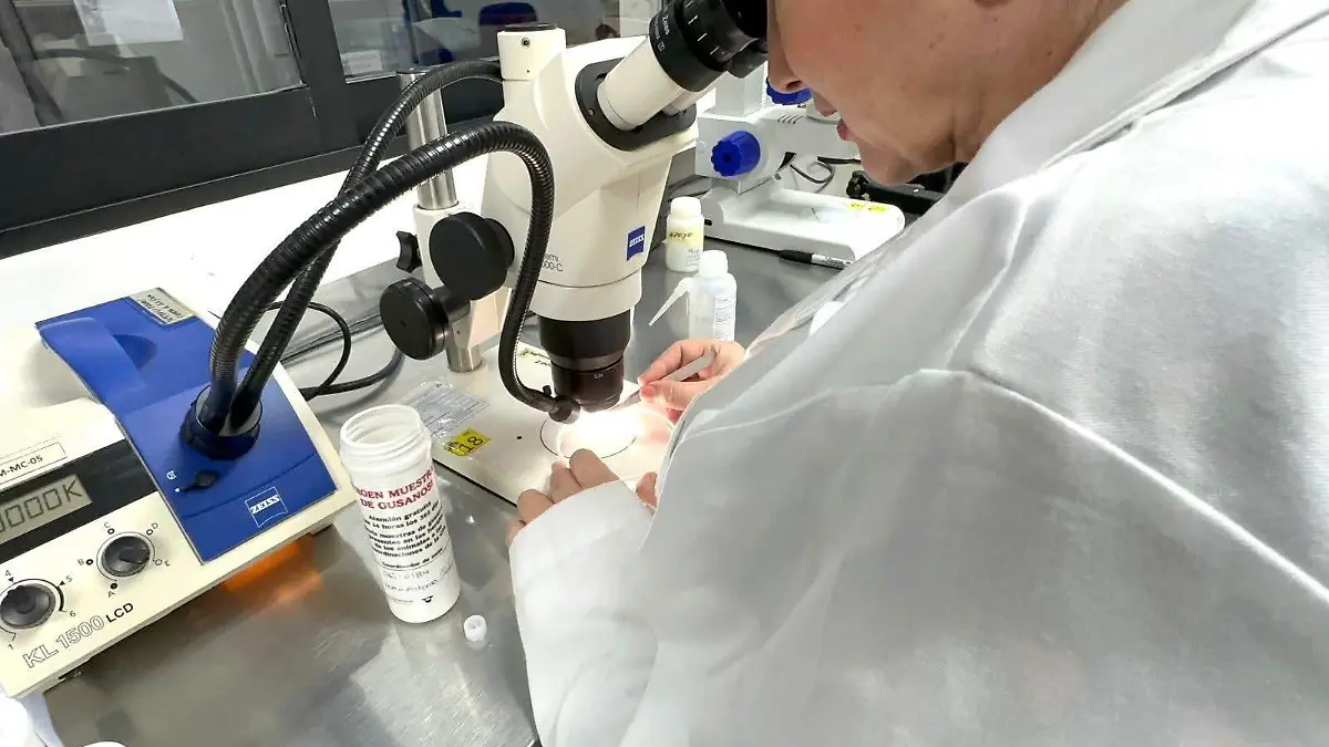 Suman cuatro defunciones, un hospitalizado actualmente y cinco pacientes con tratamiento ambulatorio 