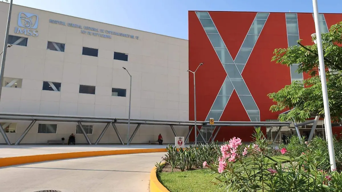 WhatsApp Image 2026-02-14 at 11.55.41