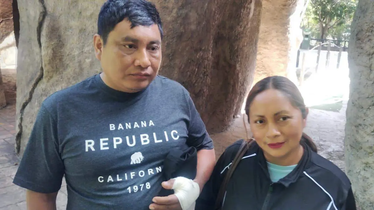 WhatsApp Image 2026-02-14 at 10.12.04