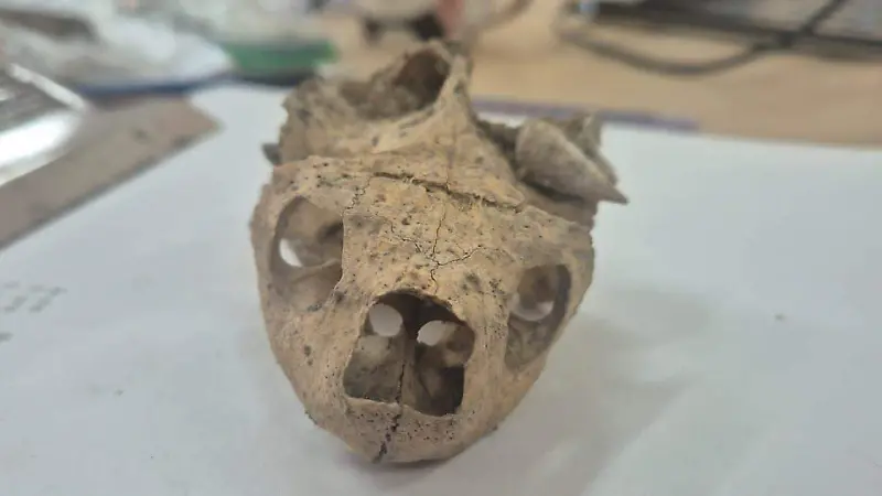 Mayas practicaban acuacultura en Palenque