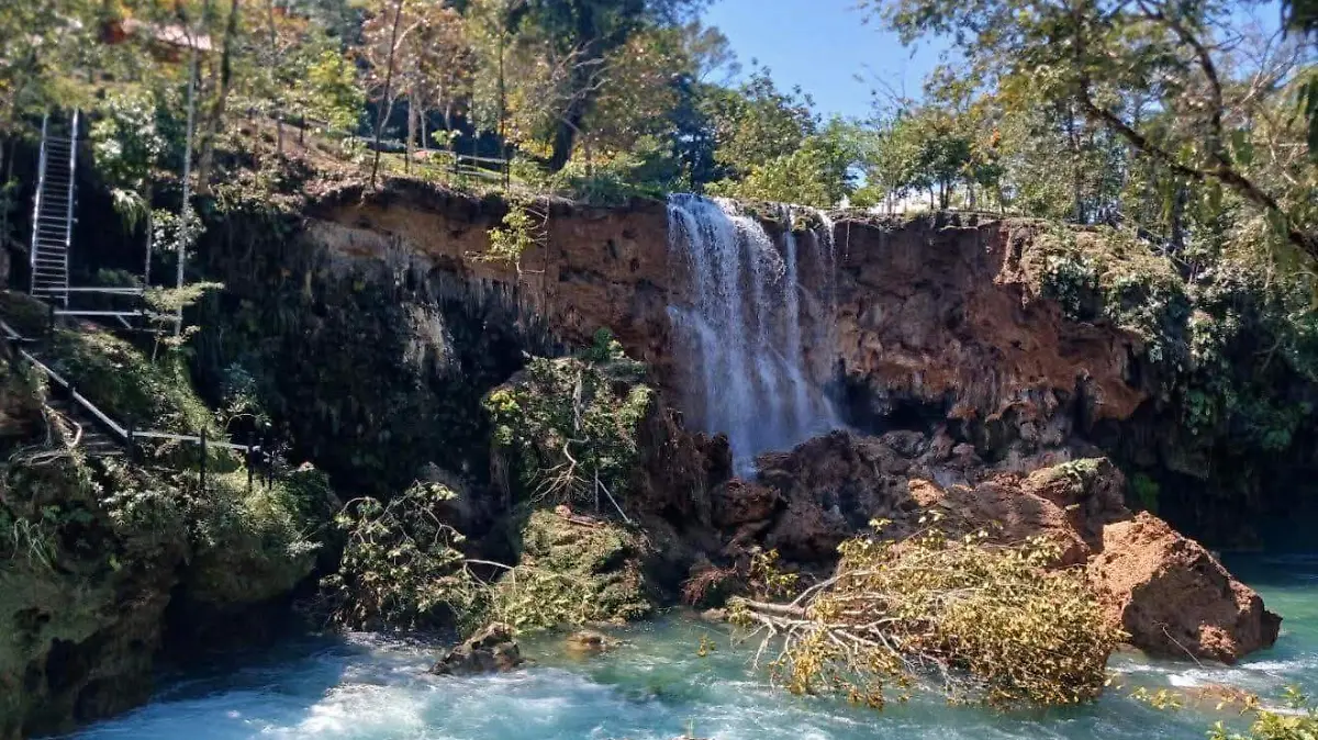 WhatsApp Image 2026-02-16 at 10.27.26