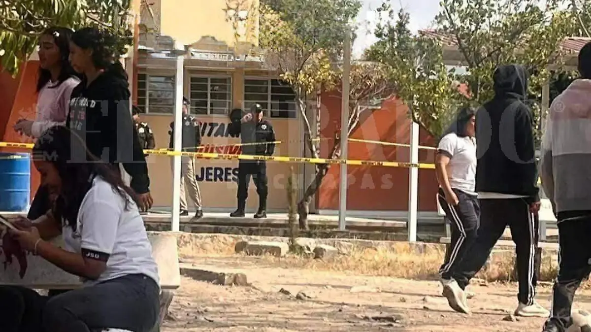 WhatsApp Image 2026-02-16 at 13.35.55