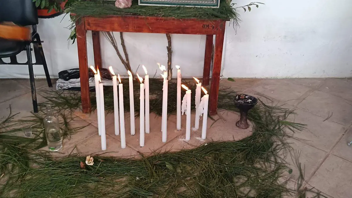 WhatsApp Image 2026-02-16 at 13.27.32 (1)