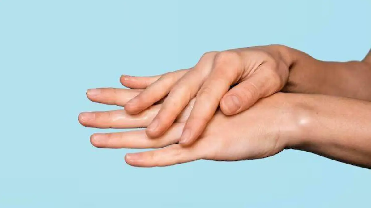 WhatsApp Image 2026-02-16 at 6.42.37 PM