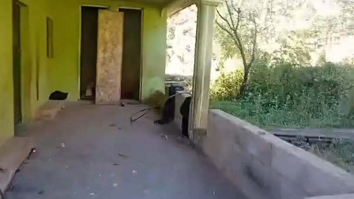 WhatsApp Image 2026-02-16 at 7.09.48 PM