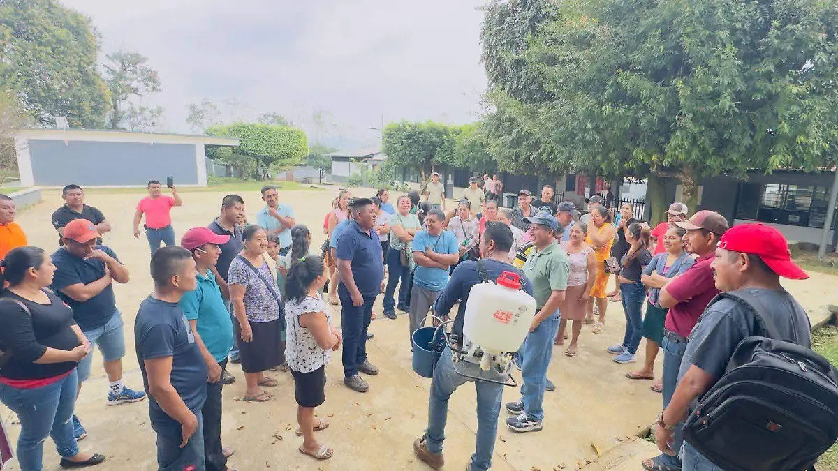 WhatsApp Image 2026-02-17 at 07.38.48