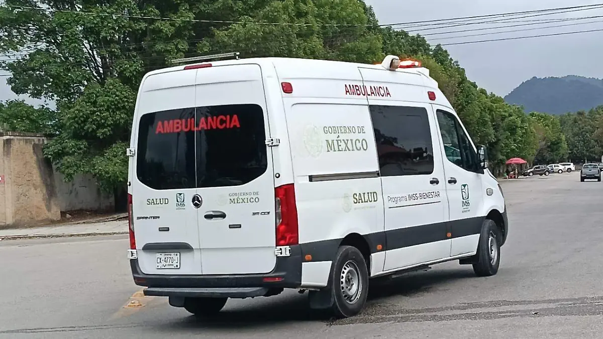 WhatsApp Image 2026-02-17 at 08.02.20