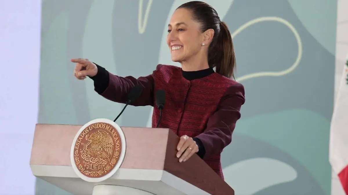 WhatsApp Image 2026-02-17 at 08.30.19