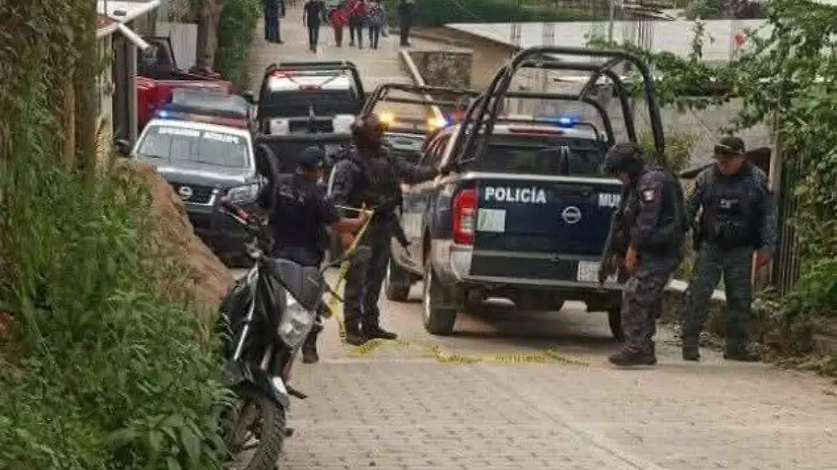 WhatsApp Image 2026-02-17 at 13.00.49