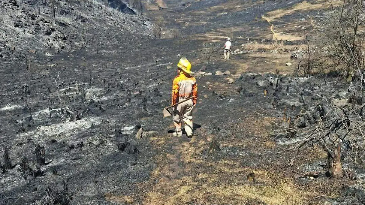 incendios