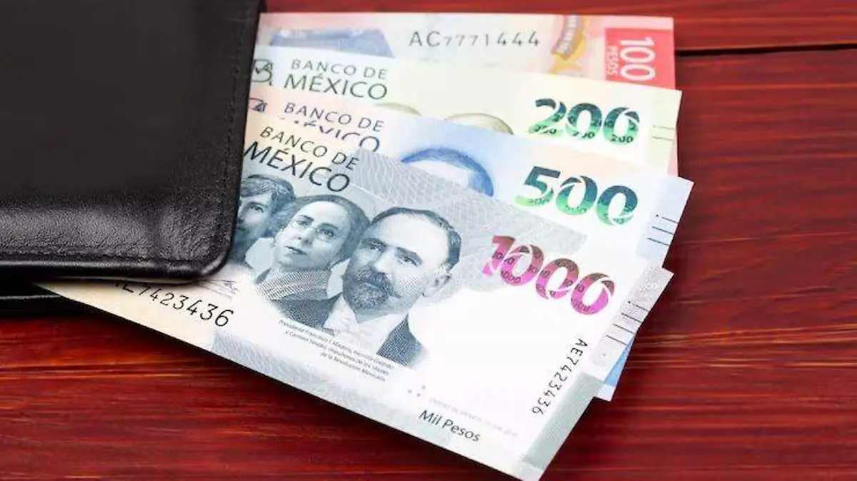 WhatsApp Image 2026-02-18 at 6.57.44 PM