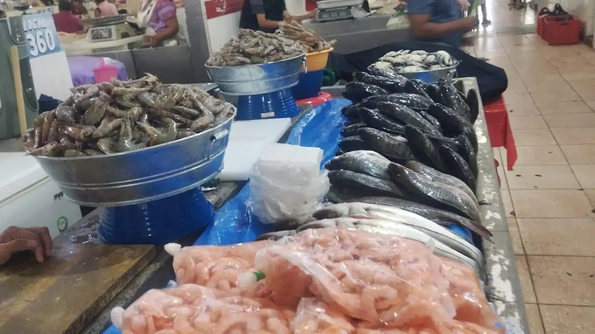 WhatsApp Image 2026-02-17 at 12.37.21 PM (1)