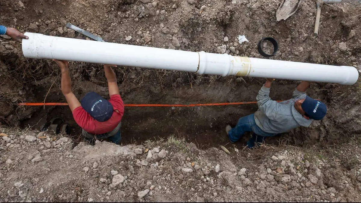 WhatsApp Image 2026-02-19 at 08.57.17