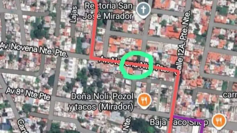 Mlatrato animal colonia mirador Tuxtla