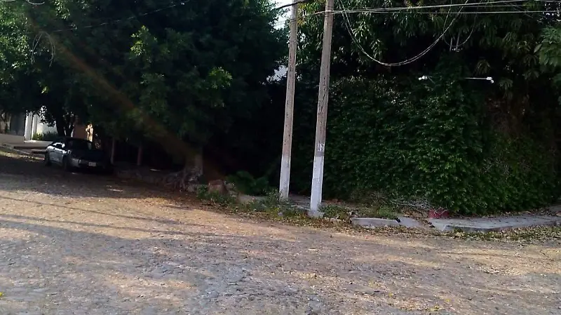 Mlatrato animal colonia mirador Tuxtla