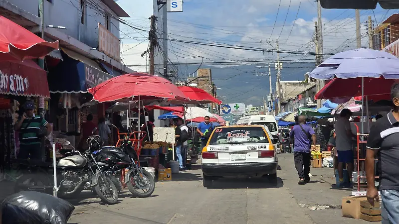 Ambulantaje transeúntes centro mercados Tuxtla