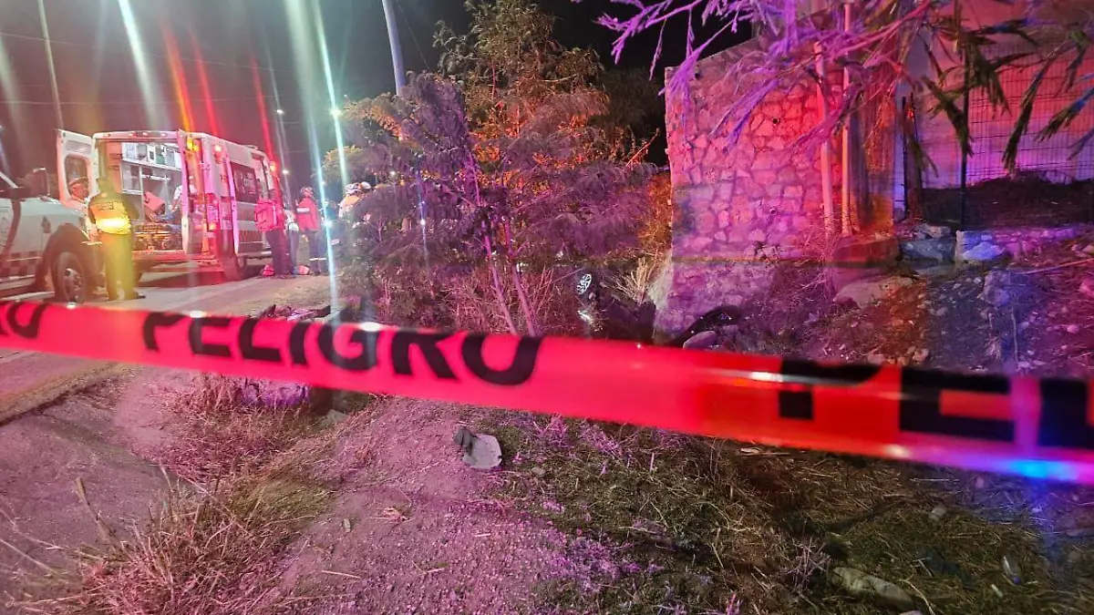 WhatsApp Image 2026-02-10 at 4.41.03 PM