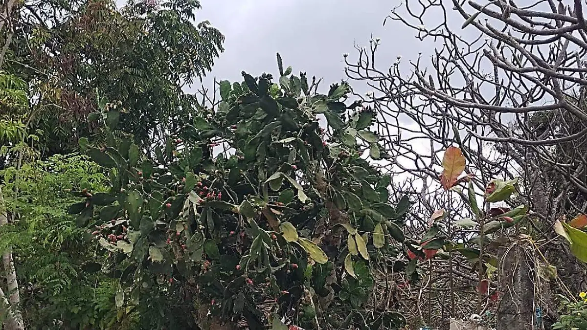 WhatsApp Image 2026-02-23 at 07.54.08