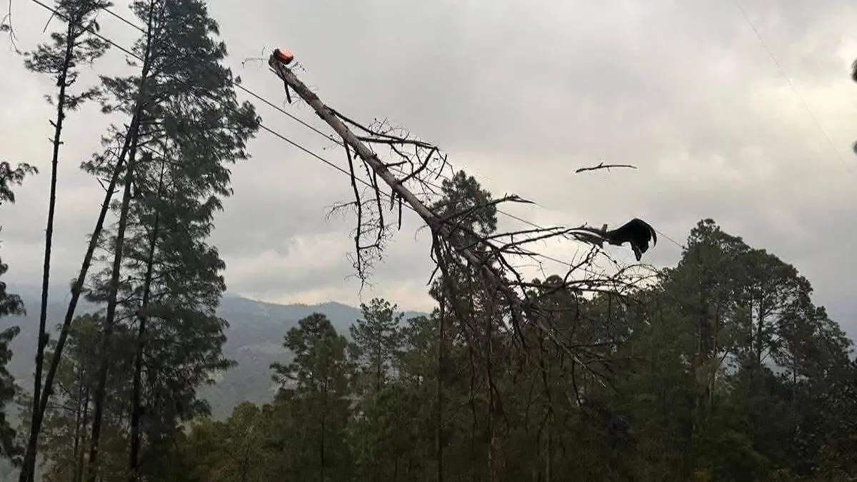 WhatsApp Image 2026-02-23 at 08.30.25