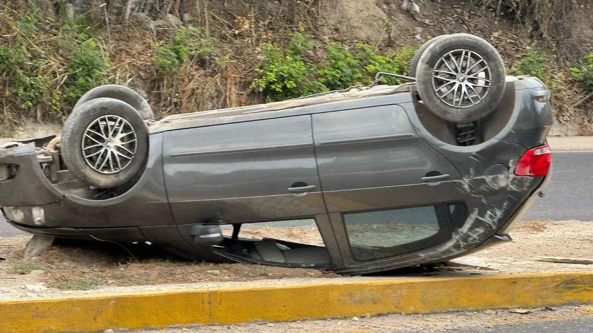 WhatsApp Image 2026-02-23 at 12.46.13