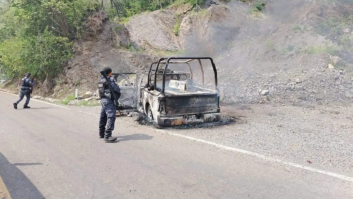 WhatsApp Image 2026-02-17 at 16.53.52