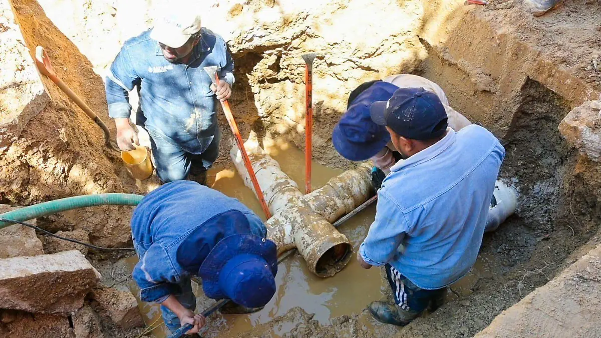 WhatsApp Image 2026-02-23 at 4.05.20 PM